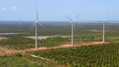 Vista-Aérea-Del-Ventilador-De-Viento-En-Medio-De-Una-Zona-Verde-De-Palmeras,-Ceará,-Brasil.