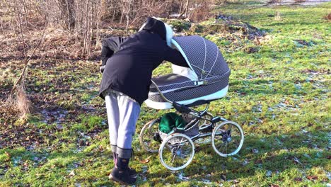 Mutter-Checkt-Baby-Im-Kinderwagen,-Sonniger-Landhof-Mit-Grünem-Gras