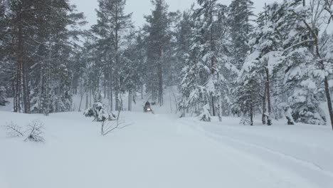 Person-Snow-Scooter-Ride-Amidst-Forest-During-Winter-Blizzard