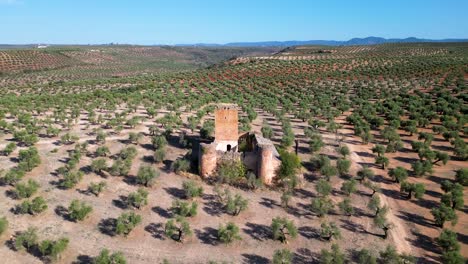 Distant-drone-view-of-Aragonesa-medieval-castle-in-olive-garden