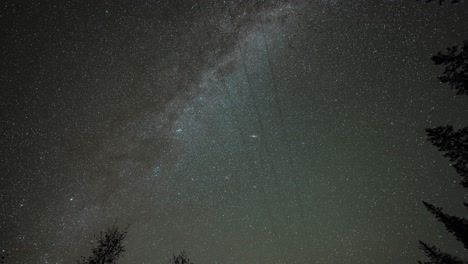 Milky-way-and-bright-shimmering-grats-in-the-night-sky,-Dark-silhouettes-of-the-tall-trees-in-the-foreground-Timelapse-video