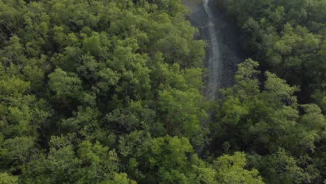 Vista-Aérea-De-Sundarban,-Que-Es-Uno-De-Los-Bosques-De-Reserva-De-Tigres-Más-Grandes-De-Asia.