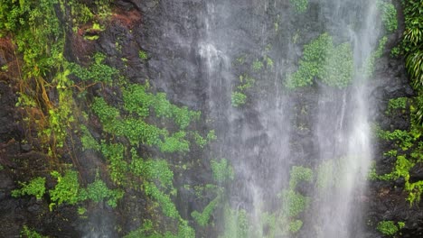 Sheets-of-water-cascade-down-a-lush-rainforest-rockface-from-a-waterfall-above
