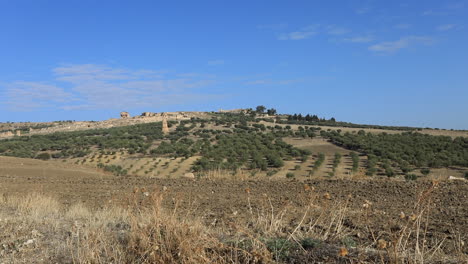 Hilltop-view-of-Roman-ruins-in-Dougga-with-olive-groves-under-blue-sky