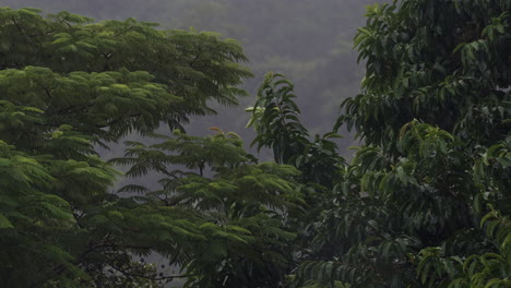 Niederschlag-In-Krabi,-Thailand-Während-Der-Tropischen-Regenzeit,-Präsentiert-Die-üppigen-Landschaften-Von-Südostasien