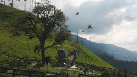 Cocora-Valley-Hillside-with-Carved-Figures,-Colombia