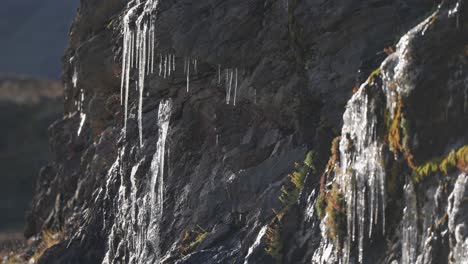 Ein-Filigran-Aus-Schmelzenden-Eiszapfen-Auf-Den-Felsen