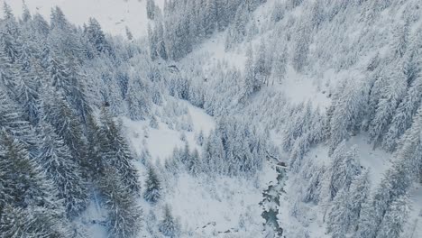 Picturesque-Mountain-Winter-Scene