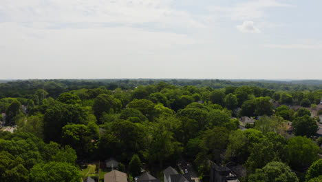 üppige-Grüne-Bäume-Zwischen-Amerikanischen-Wohnhäusern-In-Einem-Vorort