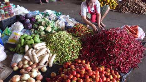 A-close-up-reveals-an-array-of-different-types-and-colors-of-chilis,-tomatoes,-and-other-non-leafy-vegetables,-with-a-woman-in-the-background