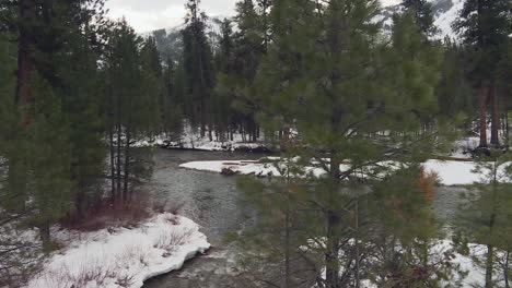 Arroyo-A-Través-De-La-Nieve-Y-Los-árboles-En-Invierno-En-El-Bosque-Nacional-De-Boise-En-Idaho,-EE.UU.