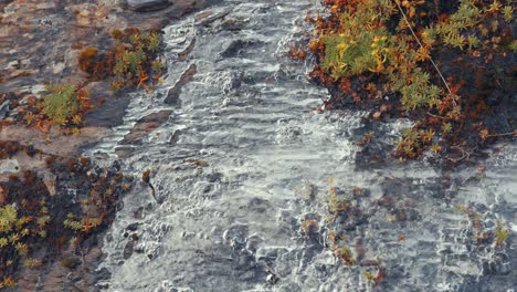 Schmelzwasser-Sickert-Langsam-Unter-Der-Dünnen-Eisschicht-Auf-Den-Moosbedeckten-Steinen