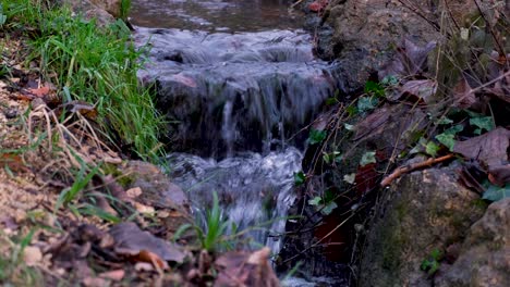 Scenic-view-of-small,-idyllic-cascading-stream-flowing-through-outdoor-wilderness-of-woodland-forest-in-English-countryside