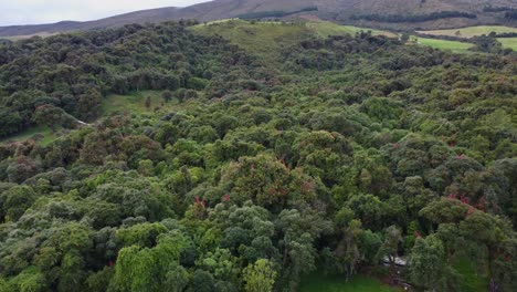 Drone-Retreating-from-a-Lush-Forest-amidst-the-Andes-Mountains-in-Ecuador