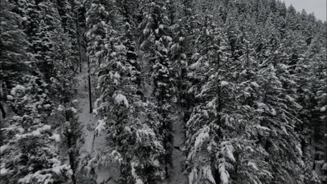 Bosque-Nevado-Sobre-El-Invierno-Del-Cañón-American-Fork-En-Las-Montañas-Wasatch-De-Utah,-Estados-Unidos