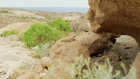 Rocky-coastal-landscape-of-Tenerife-island,-motion-view