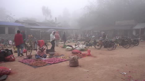 Early-morning-fogg-village-scene
