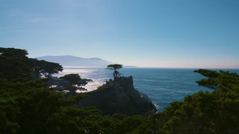 Lone-Cypress-Tree-at-17-Mile-Drive-in-Monterey,-California,-near-Big-Sur
