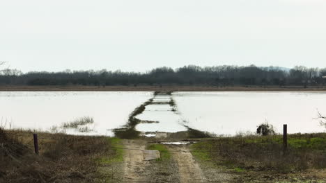 Flooded-dirt-road-cutting-through-Point-Remove-Wildlife-Area,-Arkansas,-on-a-cloudy-day