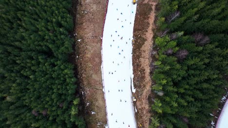 Aerial-top-down-view-of-skiers-go-downhill-near-evergreen-forest,-Dolni-Morava