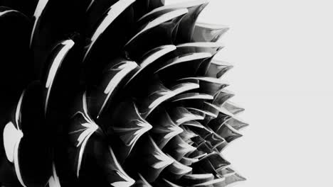 Eine-Digitale-Kunstanimation-Der-Öffnung-Einer-Schwarzen-Lotusblüte-In-Einer-3D-Loop-Darstellung