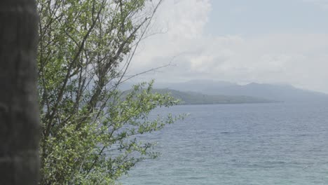 Aufnahme-Hinter-Einem-Baum-In-Einer-Wunderschönen-Malerischen-Insellandschaft-In-Cebu,-Philippinen