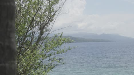 Shot-behind-tree-of-beautiful-scenic-island-landscape-in-Cebu,-Philippines