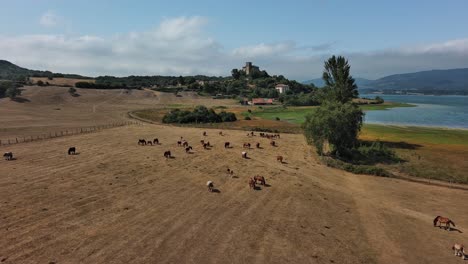 Horses-grazing-near-nanclares-de-gamboa,-basque-country,-with-castle-backdrop,-daytime,-aerial-view