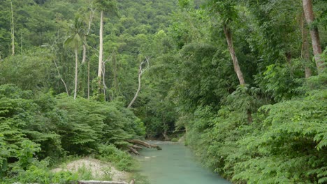 Inclinarse-A-Lo-Largo-Del-Río-Verde-Lechoso-En-La-Selva-Tropical-Con-Altas-Palmeras-En-El-Suelo-Del-Valle
