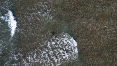 Draufsicht-Auf-Die-Meereswellen-Auf-Der-Insel-O&#39;ahu-In-Honolulu,-Hawaii