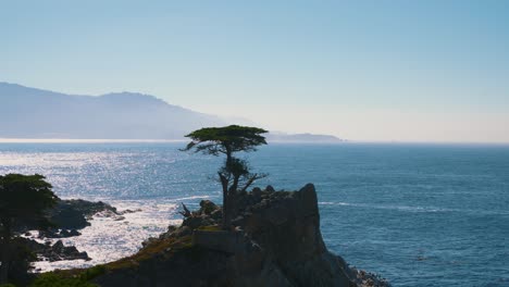 Ciprés-Solitario-A-17-Millas-En-Coche-En-Monterey,-California