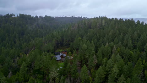 Rundflug-Mit-Einer-Drohne-über-Den-Baumwipfeln-Des-Muir-Woods-National-Monument