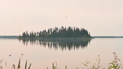 Rauchiger-Tag-Auf-Elk-Island,-Alberta