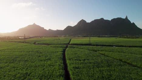 Lush-green-fields-under-the-shadow-of-Peter-Both-Mountain-at-sunset,-aerial-view