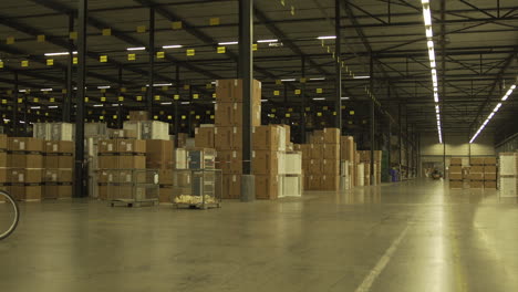 Time-Lapse-Of-Workers-In-Warehouse-Preparing-Goods-For-Dispatch