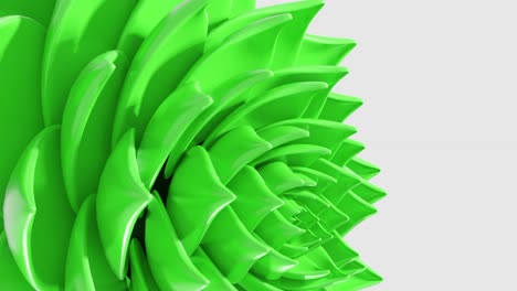 A-digital-art-animation-of-green-lotus-flower-opening-in-loop-3d-rendering