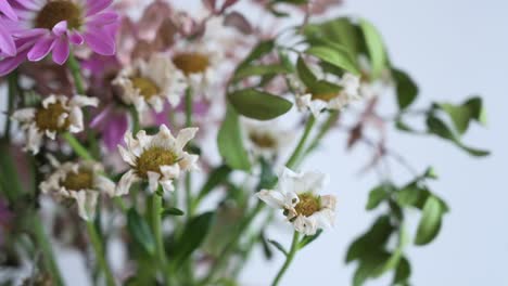 Vista-Cercana-De-Una-Boutique-Que-Presenta-Una-Variedad-De-Flores-Marchitas-Y-En-Descomposición-En-Un-Jarrón