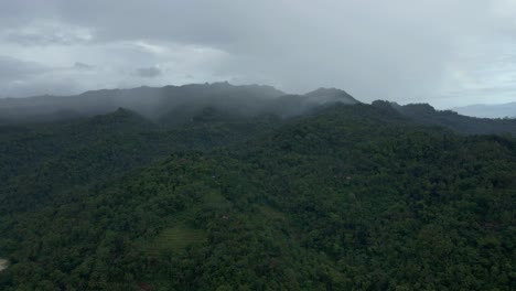 Vista-Aérea-De-La-Interminable-Selva-Tropical-De-Montaña