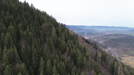 Aerial-shot-of-forest-in-the-mountains-with-town-in-background,-Vorarlberg,-Austria