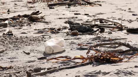 Contaminación-Plástica-En-Una-Playa-Soleada-Con-Basura-Y-Algas-Dispersas,-Cuestión-Ambiental