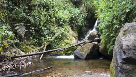 Tranquil-Stream-in-Cocora-Valley-Forest,-Colombia