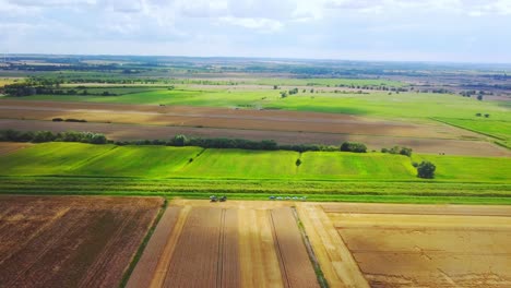 Luftaufnahme-Gelber-Und-Grüner-Felder-In-Der-Bauernlandschaft-An-Einem-Sonnigen-Morgen