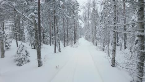 Schneebedeckte-Bäume-Im-Winterwald---Drohne-Vorwärts