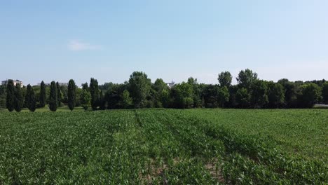 Drohne-Fliegt-Von-Der-Landschaft-Zur-Stadtlandschaft-Von-Mailand