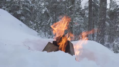Campfire-burning-in-the-middle-of-white-winter-snow--Closeup
