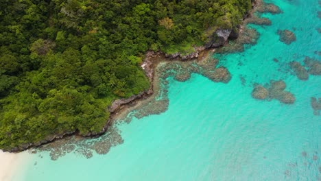 Draufsicht-Auf-Das-Wasser,-Das-Sich-Langsam-Entlang-Der-Korallenküste-In-Fidschi-Bewegt