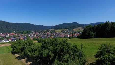 Vista-Sobre-Una-Hilera-De-árboles-A-Zell-Am-Harmersbach-En-El-Bosque-Negro-En-Un-Día-Soleado