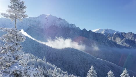 Montañas-Brumosas-De-Bucegi-Con-Pinos-Cubiertos-De-Nieve-Bajo-Un-Cielo-Azul