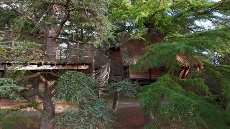 Slow-aerial-establishing-shot-of-a-tree-house-in-a-forest-in-France