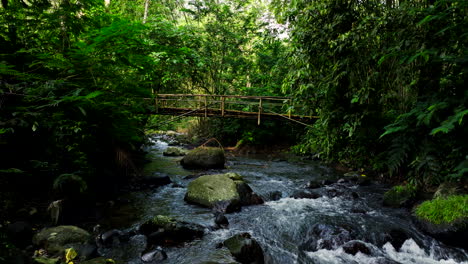 Kleine-Holzbrücke-überquert-Bach-Im-Tropischen-Dschungel